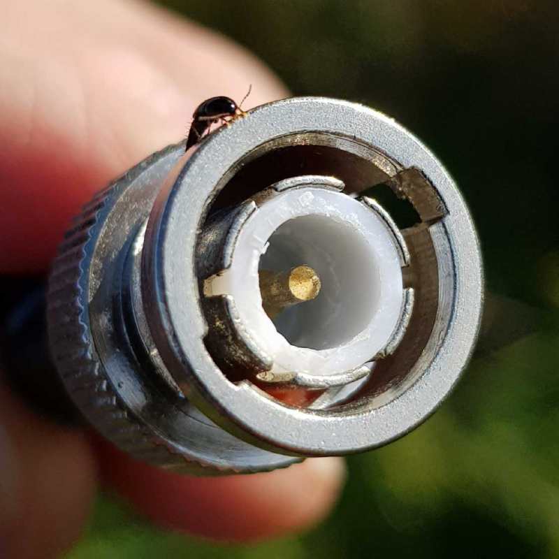 CCTV BNC connector pin on the output video cable